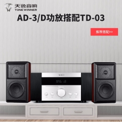 Winner/天逸 AD-3D功放 发烧HI-FI