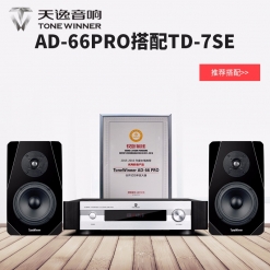 Winner/天逸AD-66PRO+TD-SE合并式HIFI功放