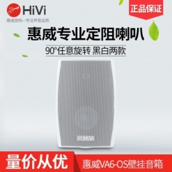 Hivi/惠威 VA6-OS壁挂音箱 立体声会议定阻音箱