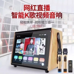 特美声 QX-1063网红直播智能K歌便携式桌面式视唱听音响一体