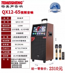 特美声 QX12-65 12寸视频机音响15.4寸触摸屏家用音箱